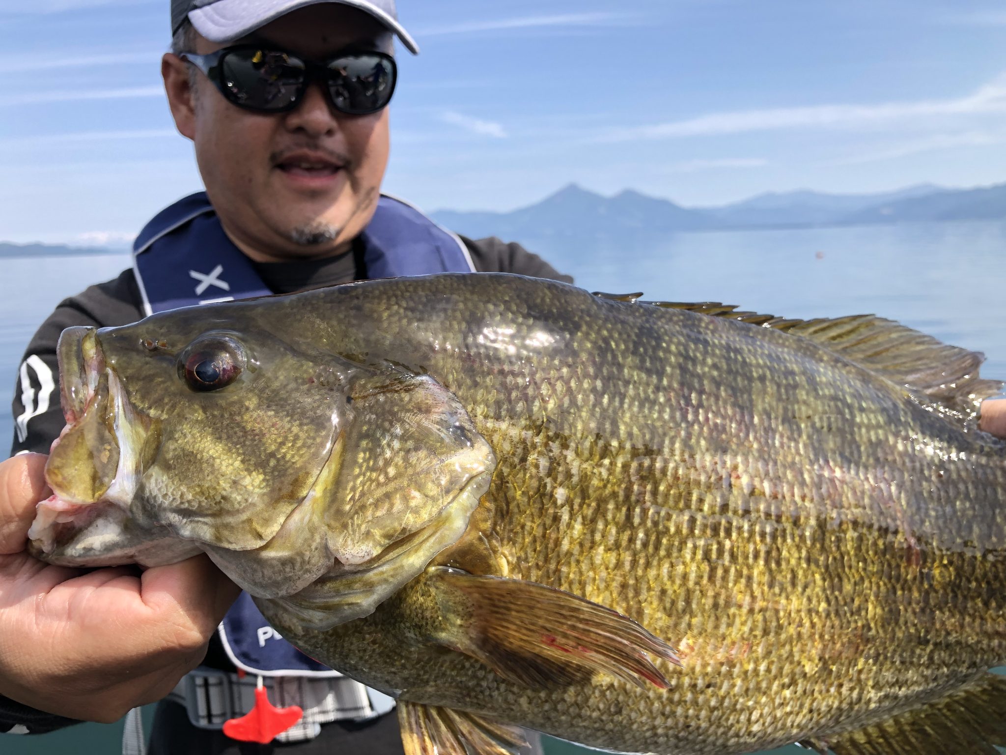 猪苗代湖 釣果